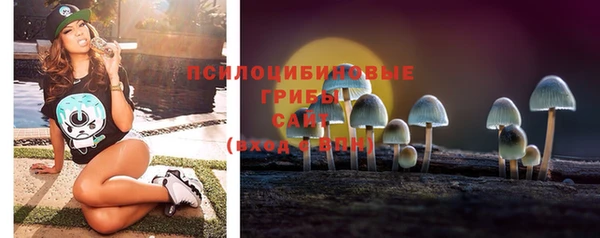прущий лед Армянск