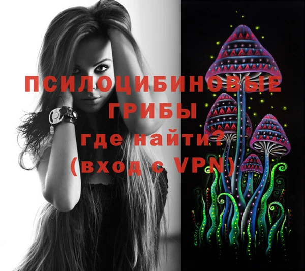 мяу мяу мука Богданович