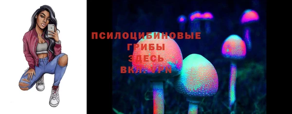 мяу мяу мука Богданович