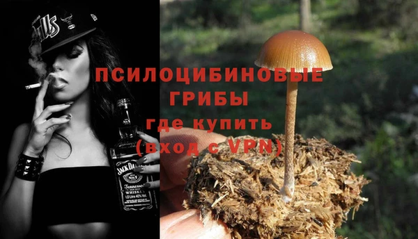 Альфа ПВП Богородск