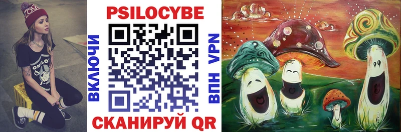 Галлюциногенные грибы мицелий  купить закладку  Свирск 
